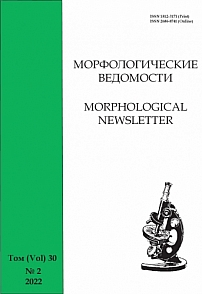 2 т.30, 2022 - Морфологические ведомости