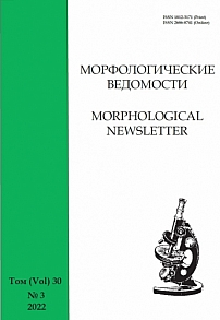 3 т.30, 2022 - Морфологические ведомости