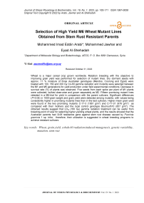 Selection of high yield m6 wheat mutant lines obtained from stem rust resistant parents