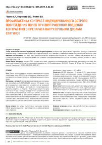 Профилактика контраст-индуцированного острого повреждения почек при внутривенном введении контрастного препарата нагрузочными дозами статинов