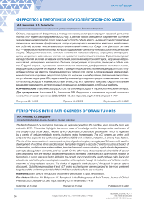 Ферроптоз в патогенезе опухолей головного мозга