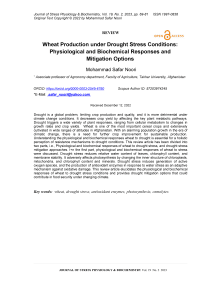 Wheat production under drought stress conditions: physiological and biochemical responses and mitigation options