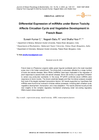 Differential expression of miRNAs under boron toxicity affects circadian cycle and vegetative development in French bean