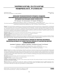 Описание технологического процесса создания анатомических макропрепаратов паренхиматозных органов методом пластинации (обзор литературы)