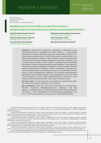 Морфофизиологические особенности хвои Pinus sylvestris L., произрастающей на отвалах Анатольско-Шиловских месторождений асбеста