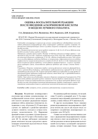 Оценка воспалительной реакции после введения аскорбиновой кислоты в модели лучевого гепатита