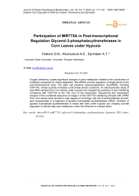 Participation of MIR775A in post-transcriptional regulation glycerol-3-phosphatacyltransferases in corn leaves under hypoxia