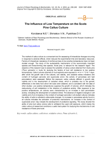 The influence of low temperature on the scots pine callus culture