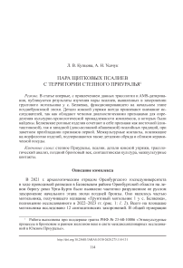 Пара щитковых псалиев с территории степного Приуралья