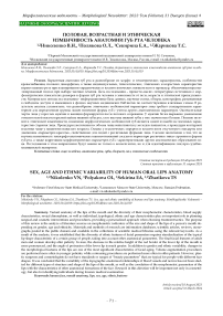 Половая, возрастная и этническая изменчивость анатомии губ рта человека