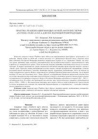 Практика реабилитации молодых особей амурских тигров (panthera tigris altaica) для последующей реинтродукции