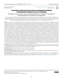 Патогенез ранних внутригрудных осложнений тяжёлой торакальной травмы, пути их устранения