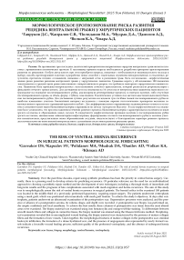Морфологическое прогнозирование риска развития рецидива вентральной грыжи у хирургических пациентов