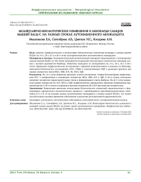 Молекулярно-биологические изменения в миокарде самцов мышей BALB/c на разных сроках аутоиммунного миокардита