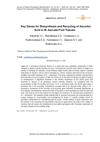 Key Genes for Biosynthesis and Recycling of Ascorbic Acid in M. baccata Fruit Tissues