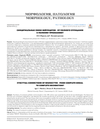 Синцитиальные связи нейроцитов – от полного отрицания к полному признанию?