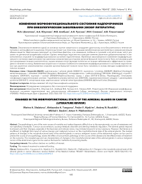 Изменения морфофункционального состояния надпочечников при онкологическом заболевании (обзор литературы)