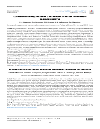 Современные представления о механизмах синтеза перилимфы во внутреннем ухе