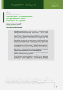 Оценка жизненного состояния насаждений дуба красного (Quercus rubra L.) в пригородной зоне Воронежа