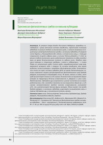 Трансмиссия фитопатогенных грибов сосновыми лубоедами