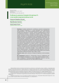 Особенности развития Cenangium ferruginosum Fr. в зоне хвойно-широколиственных лесов