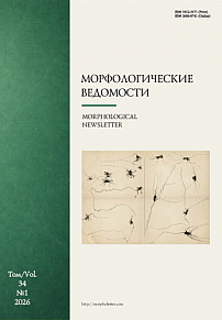 1 т.34, 2026 - Морфологические ведомости