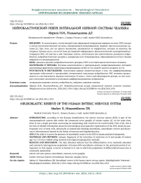 Нейробластический резерв энтеральной нервной системы человека