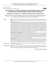 Вариабельность сроков прорезывания постоянных зубов у детей и подростков, проживающих в Удмуртской Республике