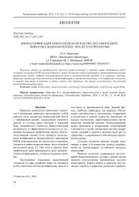Биомагнификация микроэлементов в цепях питания редких животных водно-болотных экосистем Приамурья