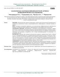 Клиническая анатомия верхнечелюстной артерии: морфометрическое исследование