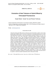 Evaluation of heat tolerance of hybrid wheat by chlorophyll fluorescence