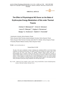 The effect of physiological NO donor on the state of erythrocytes energy metabolism of rat under thermal trauma