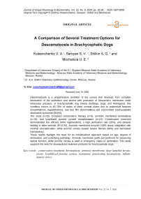A Comparison of Several Treatment Options for Descemetocele in Brachycephalic Dogs