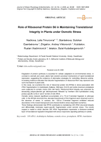 Role of Ribosomal Protein S6 in Maintaining Translational Integrity in Plants under Osmotic Stress
