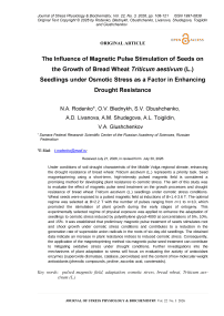 The Influence of Magnetic Pulse Stimulation of Seeds on the Growth of Bread Wheat Triticum aestivum (L.) Seedlings under Osmotic Stress as a Factor in Enhancing Drought Resistance