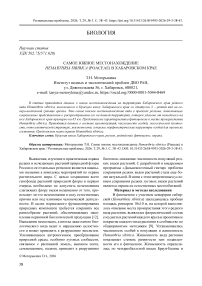 Самое южное местонахождение Hemarthria sibirica (Poaceae) в Хабаровском крае