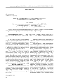 К фауне жуков жужелиц (Coleoptera: Carabidae) Центрального Сихотэ-Алиня, гора Ко