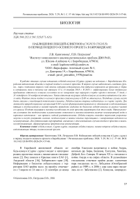 Наблюдения лебедей-кликунов (Cygnus cygnus) в период позднего осеннего пролета в Биробиджане