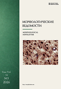 3 т.34, 2026 - Морфологические ведомости
