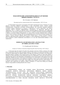 Моделирование деформирования и разрушения фибриллярных структур