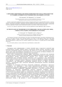 О динамике микропоры в несжимаемой вязкоупругопластической среде в условиях активного нагружения и последующей разгрузки