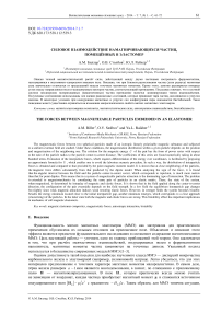 Силовое взаимодействие намагничивающихся частиц, помещённых в эластомер