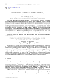 Многоуровневый анализ рельефа поверхности образца, полученного методами атомно-силовой микроскопии