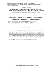 Стрессовые белки в механизмах стресс-адаптации байкальских амфипод, сопоставление с палеарктическими видами