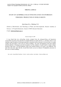 Изучение влияния лектинов азоспирилл на образование перекиси водорода в корнях пшеницы