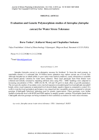 Evaluation and genetic polymorphism studies of jatropha (Jatropha curcus) for water stress tolerance