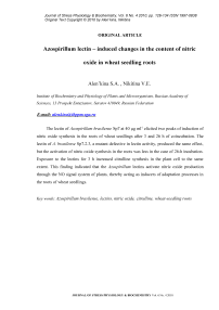 Изменение содержания оксида азота в корнях проростков пшеницы под влиянием лектинов азоспирилл