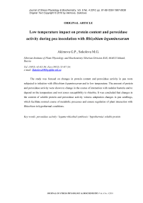 Влияние низкой температуры на содержание белка и активность пероксидазы при инокуляции гороха Rhizobium leguminosarum