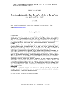 Osmotic adjustment in wheat flag leaf in relation to flag leaf area and grain yield per plant