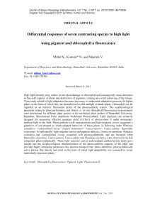 Differential responses of seven contrasting species to high light using pigment and chlorophyll a fluorescence